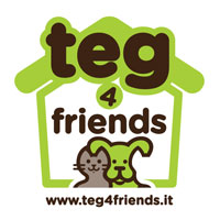 teg-4-friends